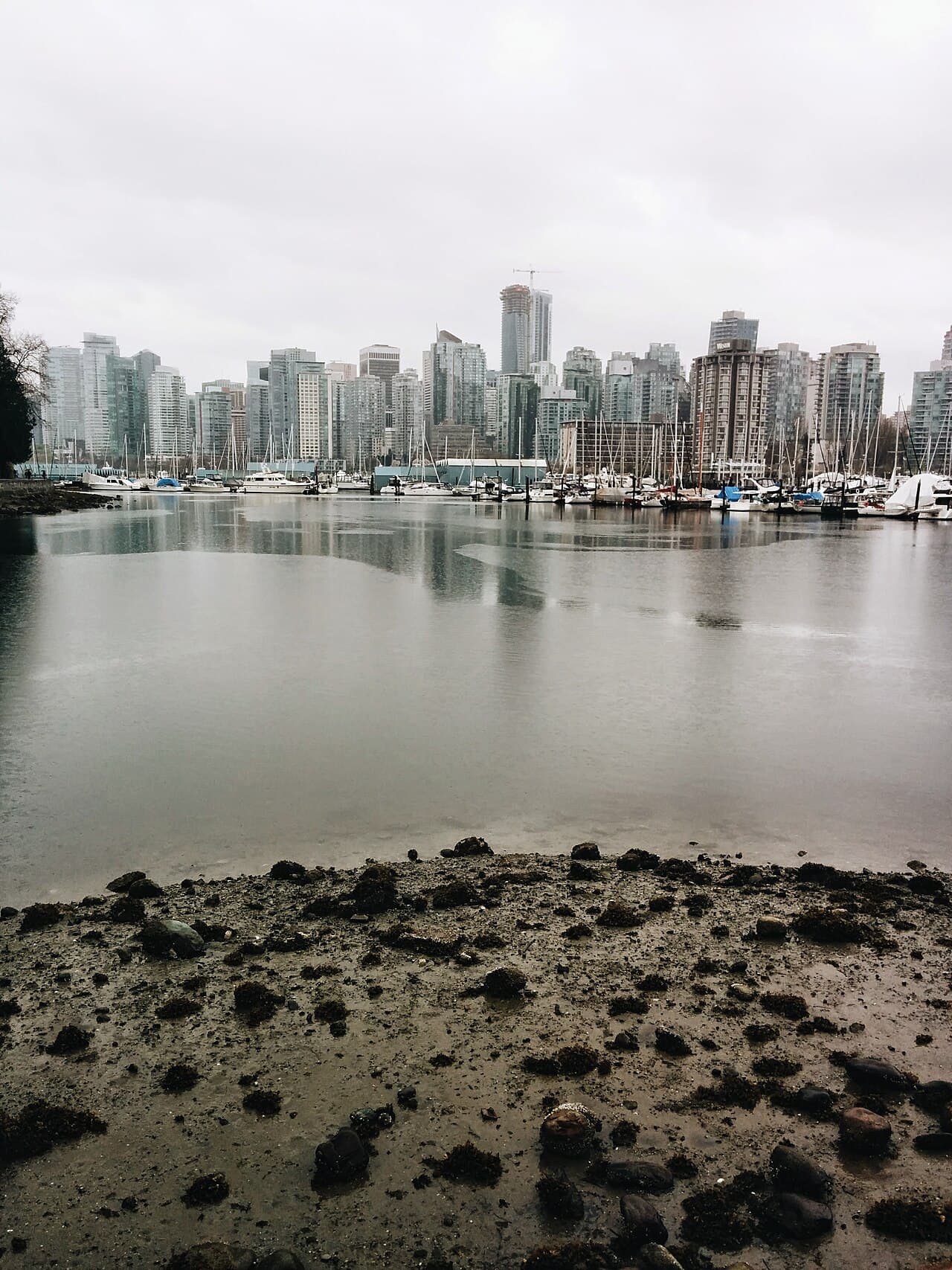 Vancouver landmark - Stanley Park & English Bay Skyline